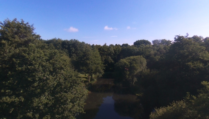 Bridge Lake