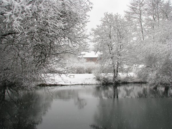 Bridge Lake in the snow
