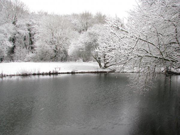 Oak Lake in the Snow