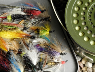 Rockbourne flies