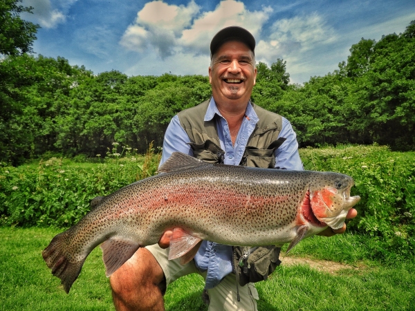 Rainbow Trout