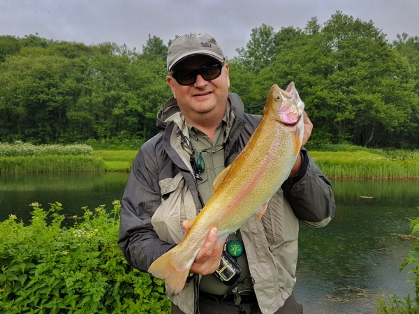 Golden Trout