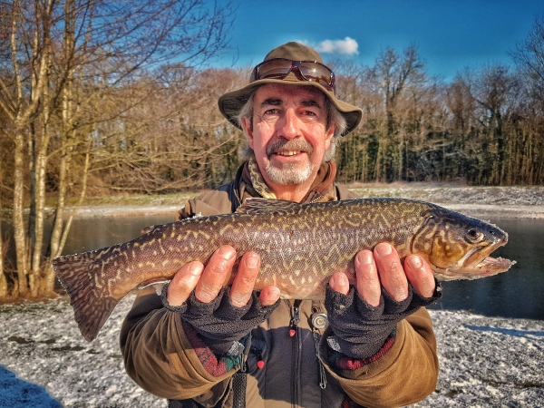 Tiger Trout